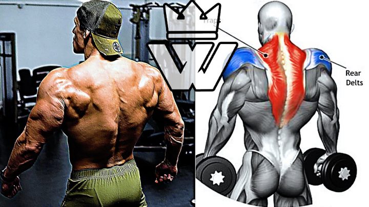 HOW TO BUILD A BIG SHOULDERS and BACK