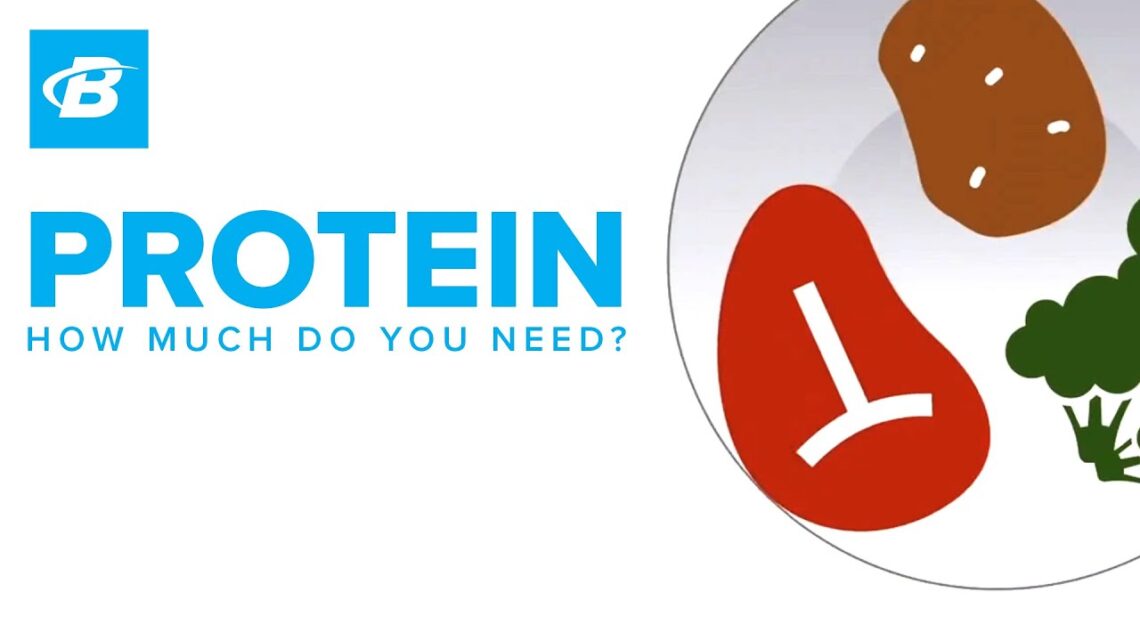 How Much Protein Do You Need? | Foundations of Fitness Nutrition