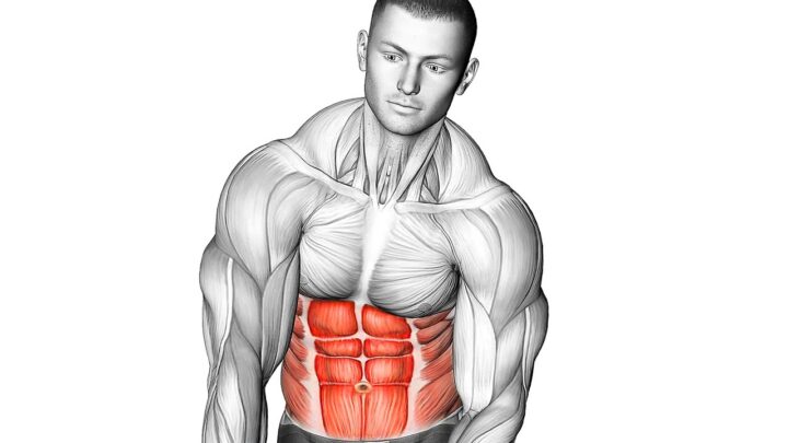 The Best Ab Exercises To Build A Strong Core