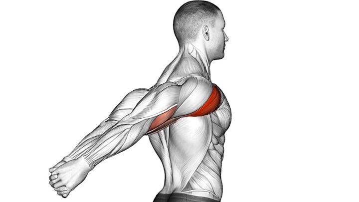 Fix Bad Posture and Strengthen Your Back!