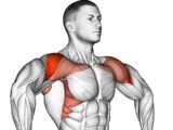 How to Get Wider Shoulders (Posture Correction)